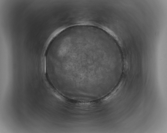 X0000112731223200908271421