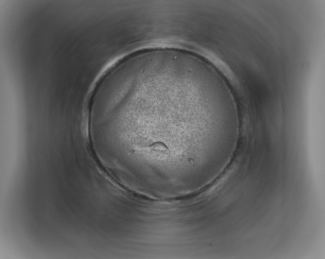 X0000112731224200908271421