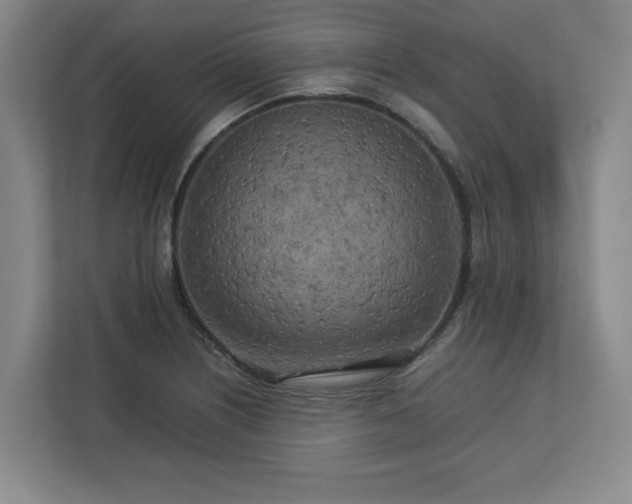 X0000112731226200908271422