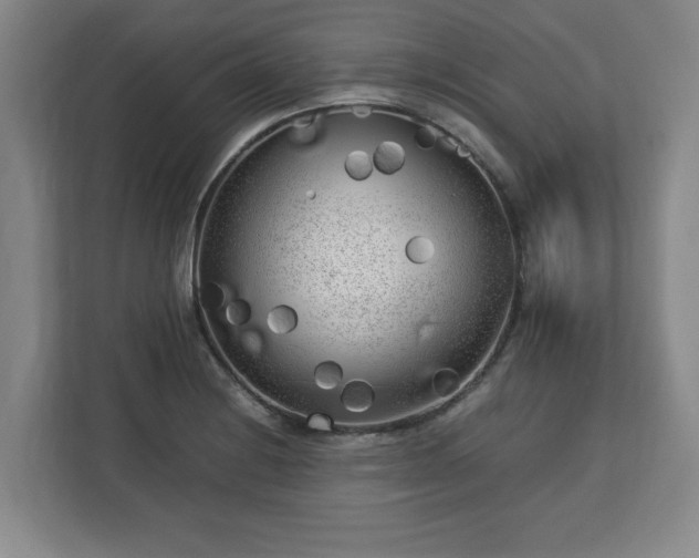 X0000112731228200908271422