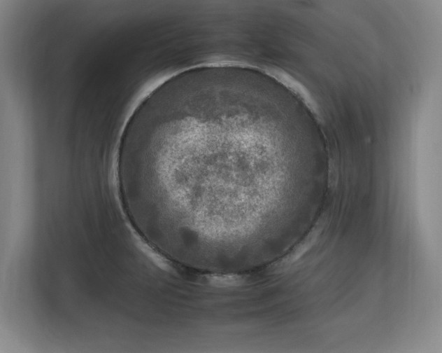 X0000112731231200908271422