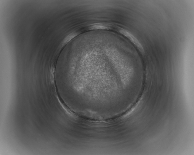 X0000112731233200908271422