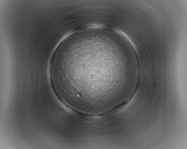 X0000112731235200908271422