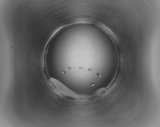 X0000112731236200908271422