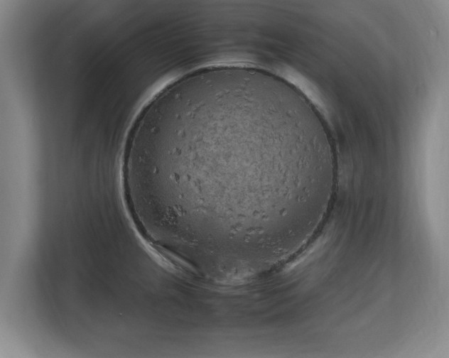 X0000112731237200908271422