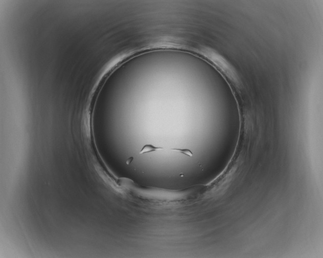 X0000112731238200908271422