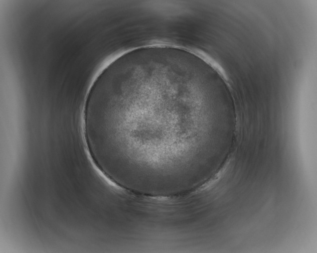 X0000112731239200908271422