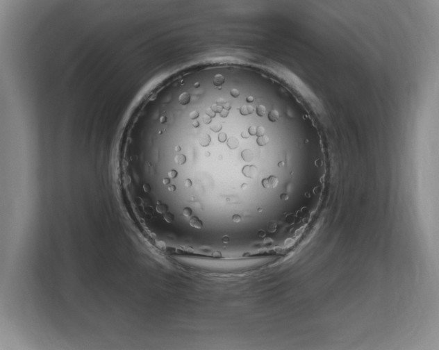 X0000112731240200908271422