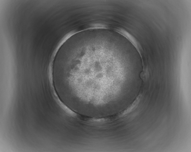 X0000112731243200908271422