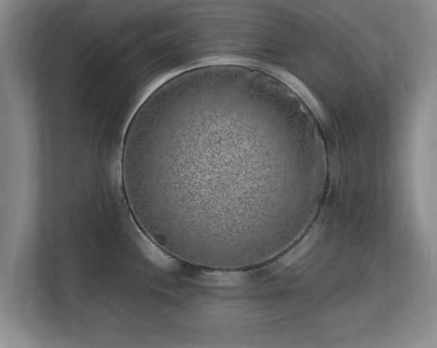 X0000112731244200908271422