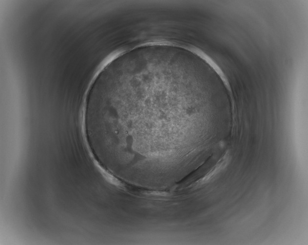 X0000112731245200908271422