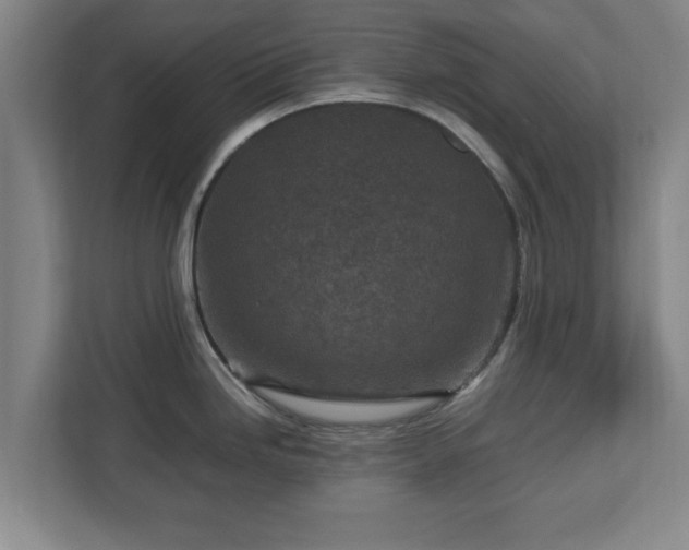 X0000112731246200908271422