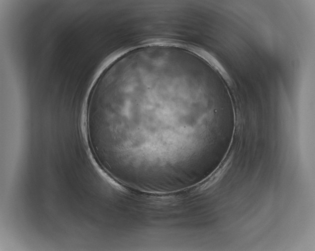 X0000112731247200908271422