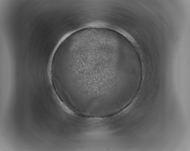 X0000112731248200908271422