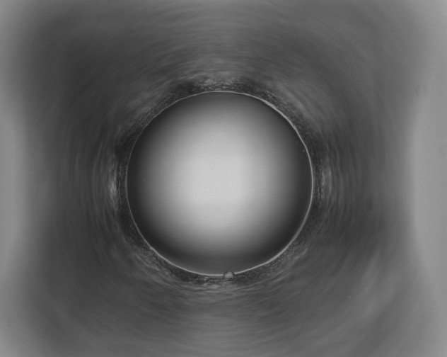 X0000112731250200908271421