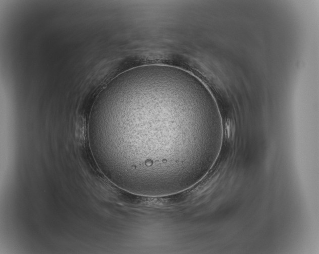 X0000112731251200908271421