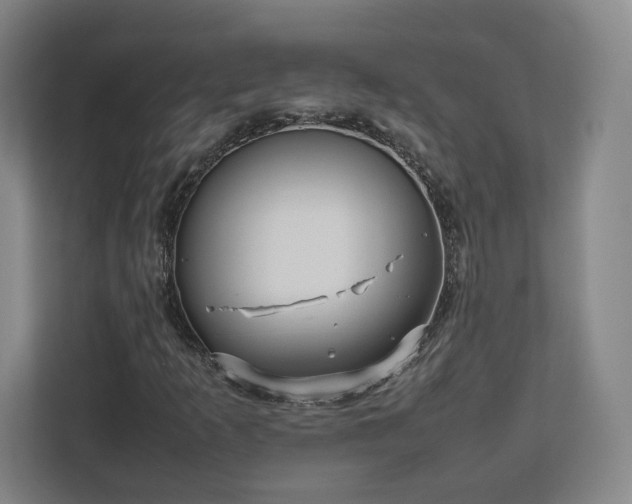 X0000112731253200908271421