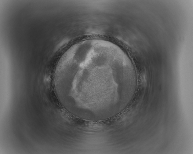 X0000112731254200908271421