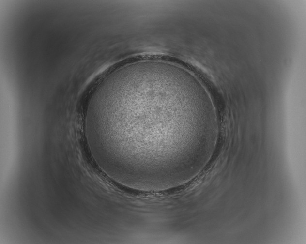 X0000112731255200908271421