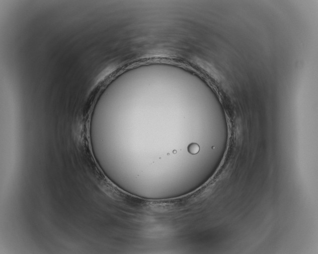 X0000112731258200908271421