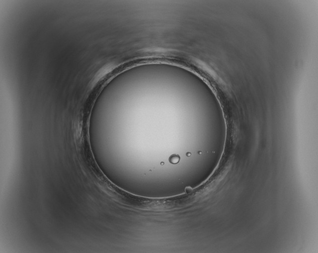 X0000112731259200908271421