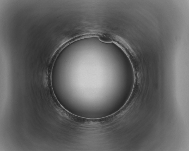 X0000112731260200908271421