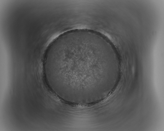 X0000112731263200908271421