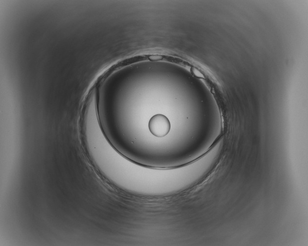 X0000112731264200908271421