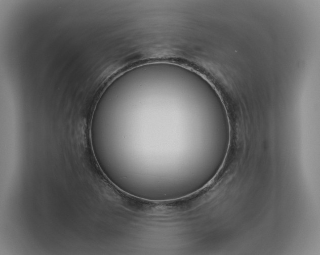 X0000112731265200908271421