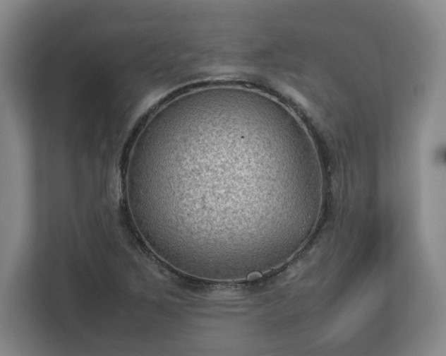 X0000112731267200908271421