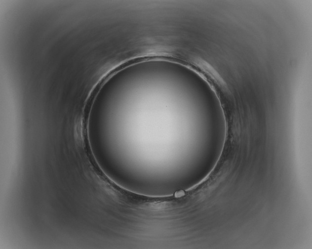 X0000112731268200908271421