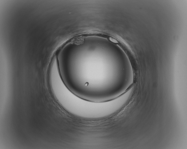 X0000112731269200908271421