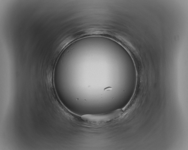 X0000112731273200908271421