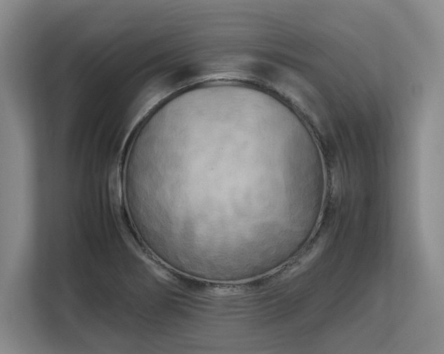 X0000112731274200908271421