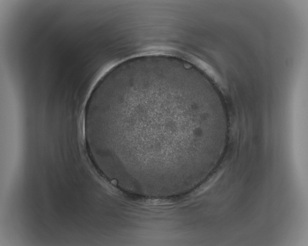 X0000112731275200908271421