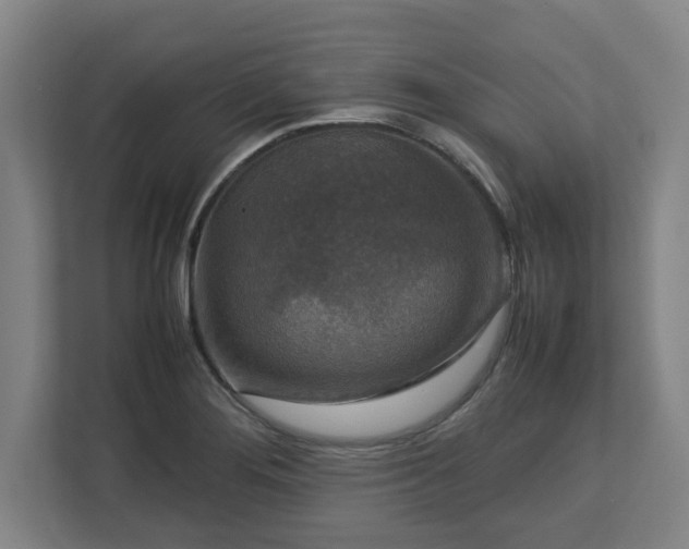 X0000112731276200908271421