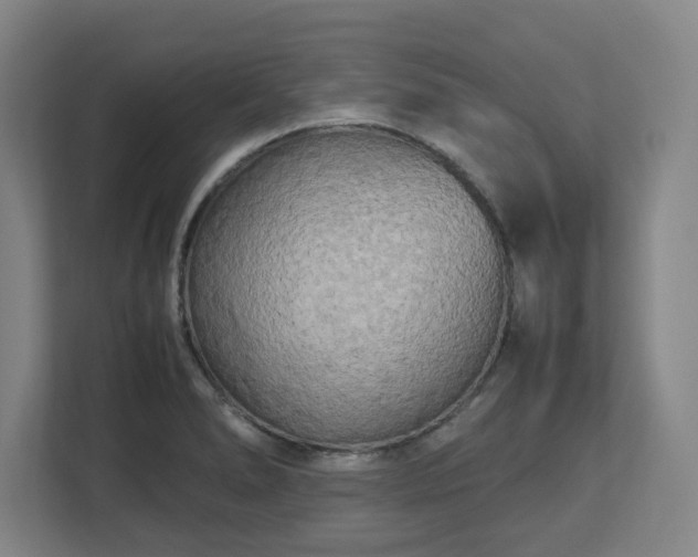 X0000112731278200908271421