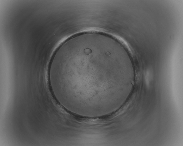 X0000112731279200908271421