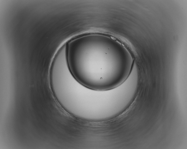 X0000112731280200908271421