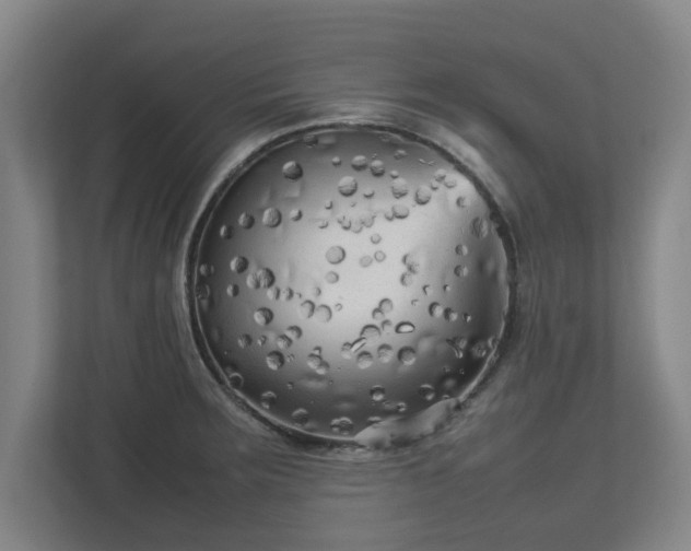 X0000112731283200908271421