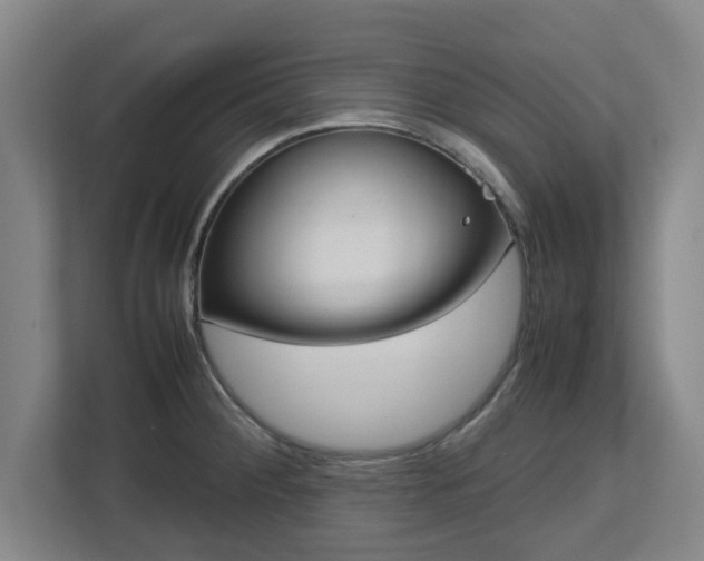 X0000112731284200908271421