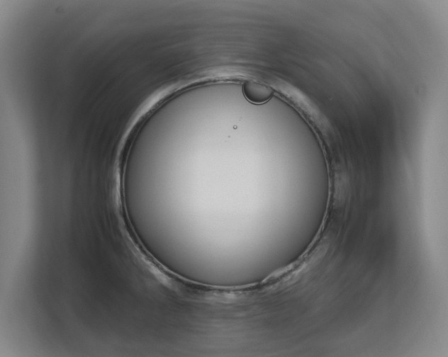 X0000112731286200908271421