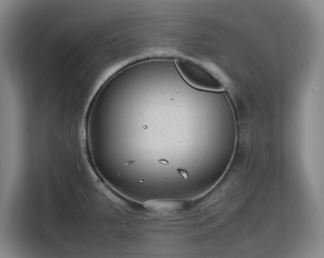 X0000112731287200908271421