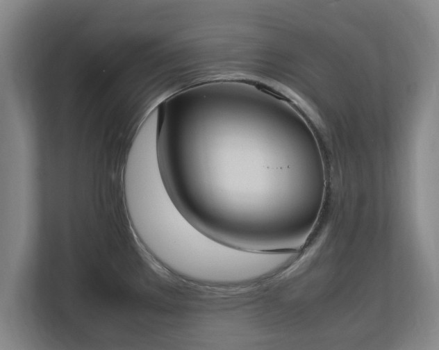 X0000112731289200908271421