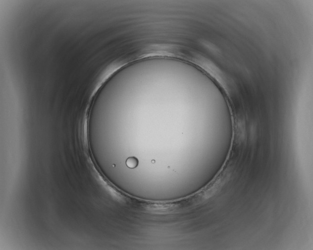 X0000112731290200908271421