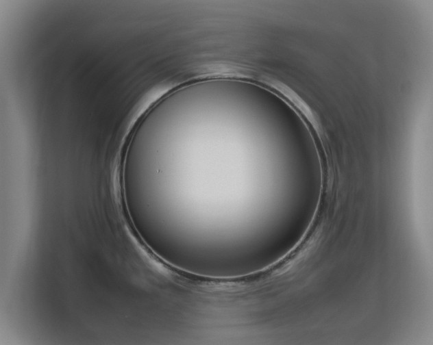 X0000112731293200908271421