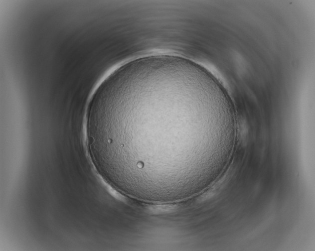 X0000112731294200908271421