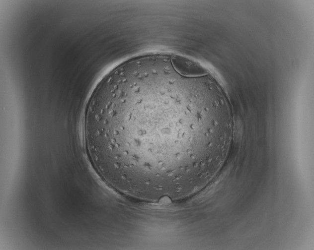 X0000112731295200908271421