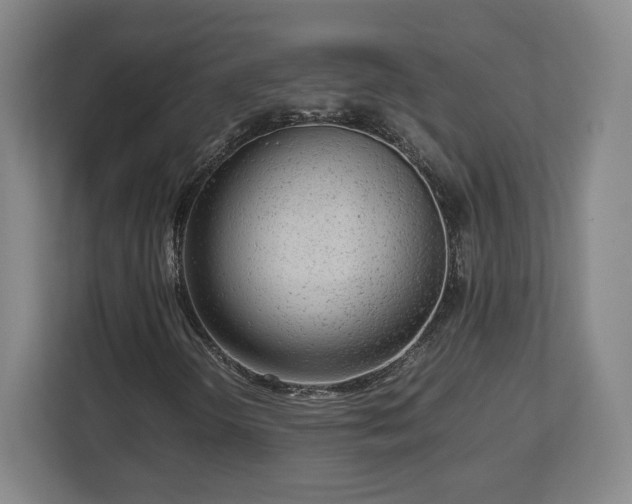 X0000112731298200908271420