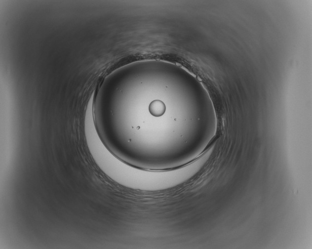 X0000112731300200908271420